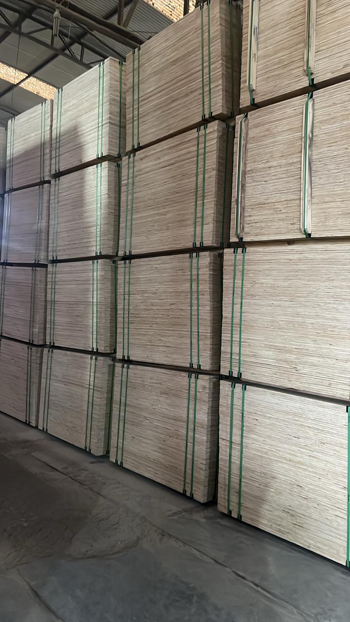 4 ft x 8 ft CDX Pine Plywood – Builder Express